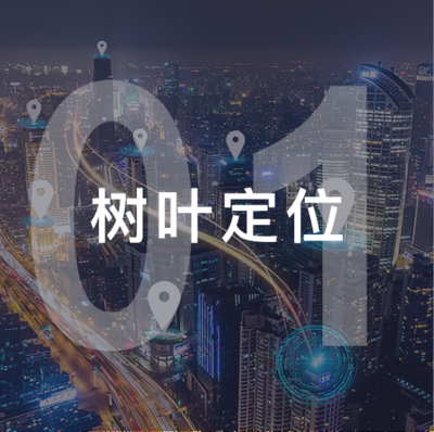 關(guān)于福建樹(shù)葉網(wǎng)絡(luò)科技
